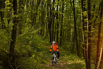 Image showing Biker on the forest road