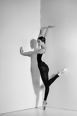 Image showing Ballerina in black outfit posing on pointe shoes, studio background.