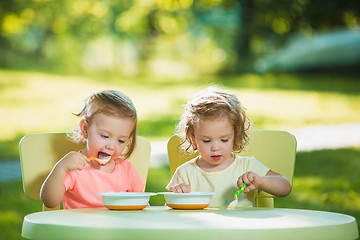 Image showing Two little girls sitting at a table and eating together against green lawn