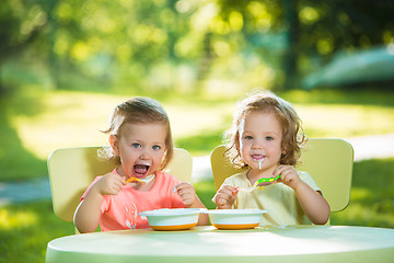 Image showing Two little girls sitting at a table and eating together against green lawn