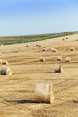 Image showing haystacks in a field of straw