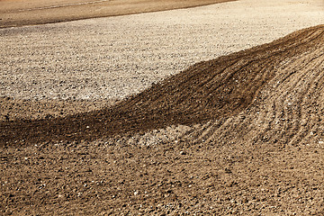 Image showing plowed land for cereal