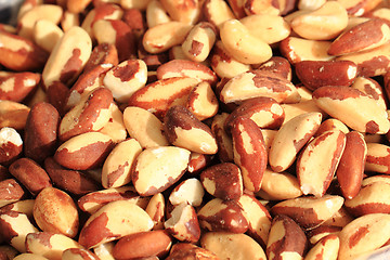 Image showing Brazil nuts background