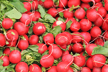 Image showing red radishes background