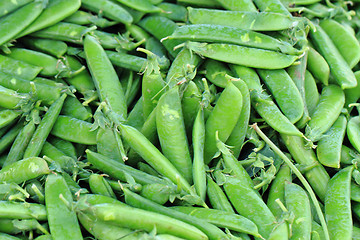 Image showing green pea backround