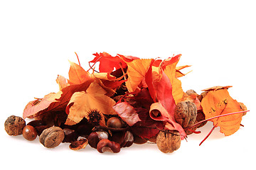 Image showing autumn acorn and other autumn souvenirs