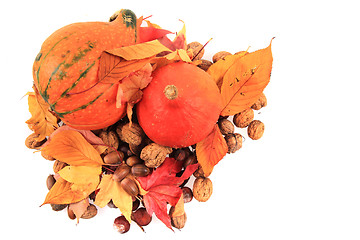 Image showing autumn pumpkins and leaves isolated