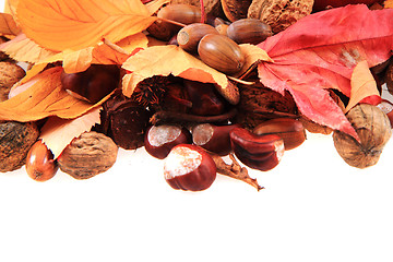 Image showing autumn acorn and other autumn souvenirs