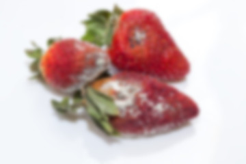 Image showing Strawberry with mold