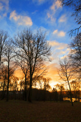 Image showing Park at sunset