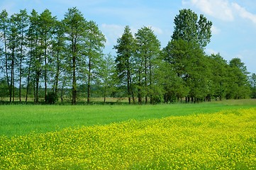 Image showing Spring Landscape