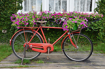 Image showing Bicycle is red with the small basket 