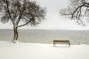 Image showing bench in a snowy winter senery