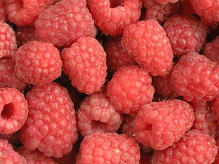 Image showing Raspberries