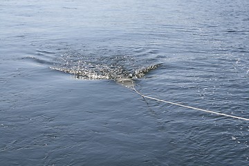 Image showing Fishing net dragged through the water