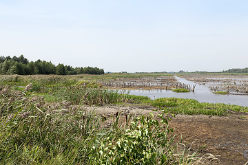 Image showing moorland, summer time