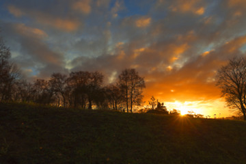 Image showing trees in the park at sunset