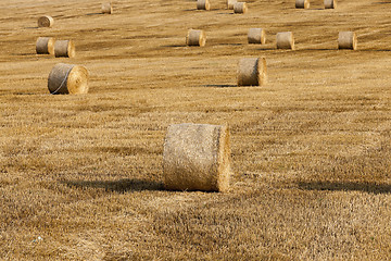 Image showing haystacks in a field of straw