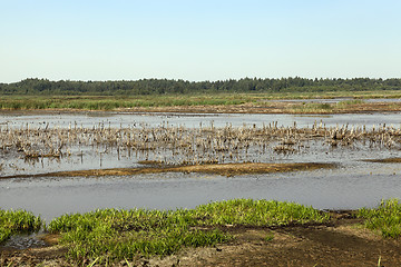 Image showing moorland, summer time