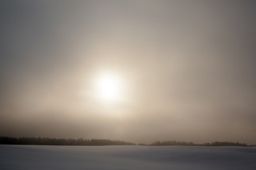 Image showing forest in winter, dawn