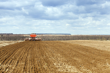 Image showing Planting of cereal crops