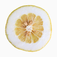 Image showing Citron citrus fruit