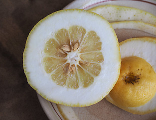 Image showing Citron citrus fruit