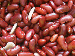 Image showing Kidney beans legumes vegetables