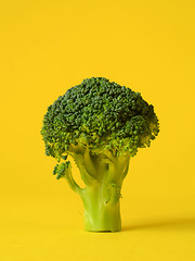 Image showing fresh green broccoli