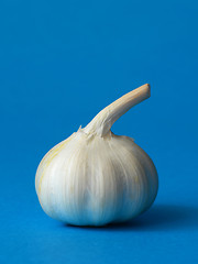 Image showing single bulb of garlic