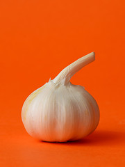 Image showing single bulb of garlic