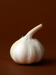 Image showing single bulb of garlic