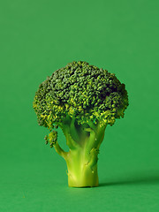 Image showing fresh green broccoli