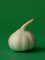 Image showing single bulb of garlic