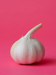 Image showing single bulb of garlic