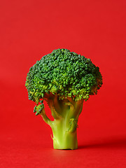 Image showing fresh green broccoli