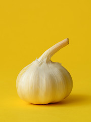 Image showing single bulb of garlic