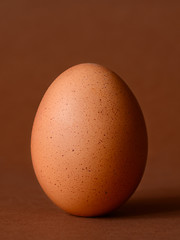 Image showing Single brown chicken