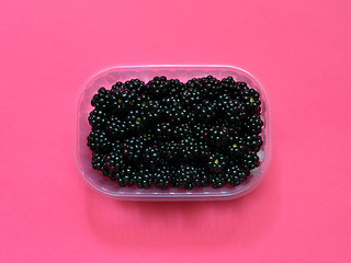 Image showing Fresh blackberries in plastic box