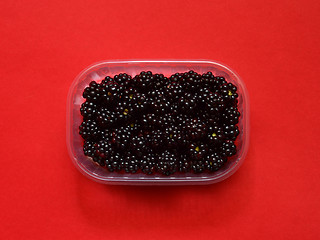 Image showing Fresh blackberries in plastic box