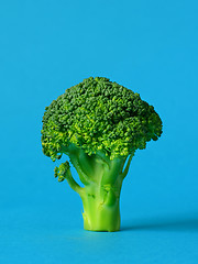 Image showing fresh green broccoli