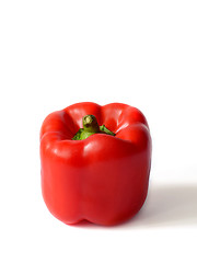 Image showing Red Bell pepper