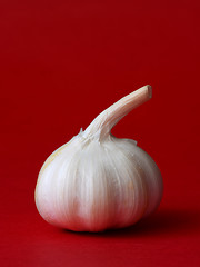 Image showing single bulb of garlic