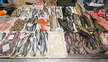 Image showing Fish Market