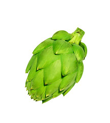 Image showing Ripe green artichoke vegetable isolated on white background