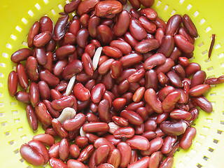 Image showing Kidney beans legumes vegetables