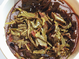 Image showing Gunpowder green tea in London