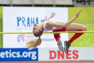Image showing European Athletics Indoor Championship 2015