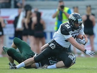 Image showing Dragons vs. Panthers