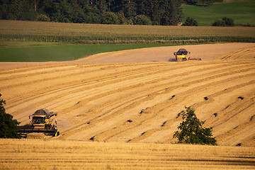 Image showing Yellow harvester combine on field harvesting gold wheat